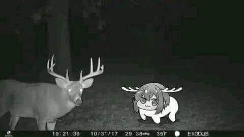 1girl, antlers, camera, deer, deer_girl, doro_(nikke), shikanoko_noko, shikanoko_nokonoko_koshitantan