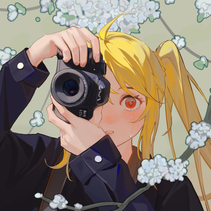 1girl, absurdres, ahoge, blonde_hair, blue_shirt, bocchi_the_rock!, branch, brown_background