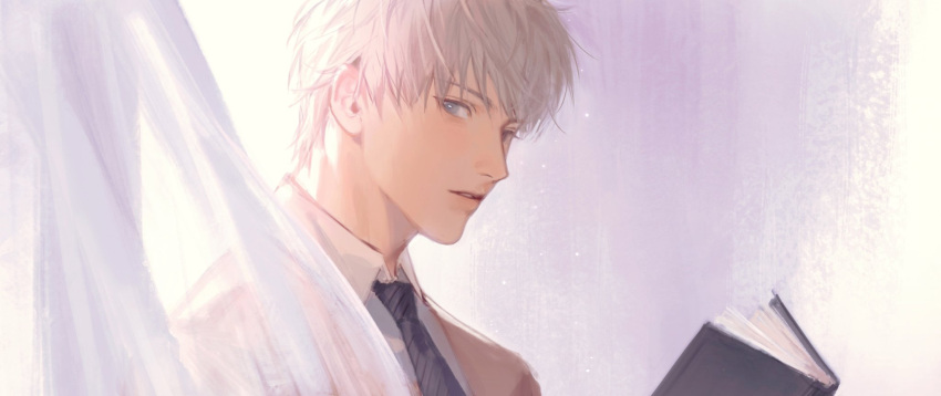 1boy, black_necktie, book, collared_shirt, curtains, formal, grey_eyes, hair_between_eyes