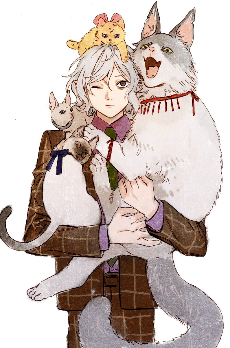 1boy, animal, animal_hug, animal_on_head, animal_on_shoulder, bags_under_eyes, black_eyes, brown_suit