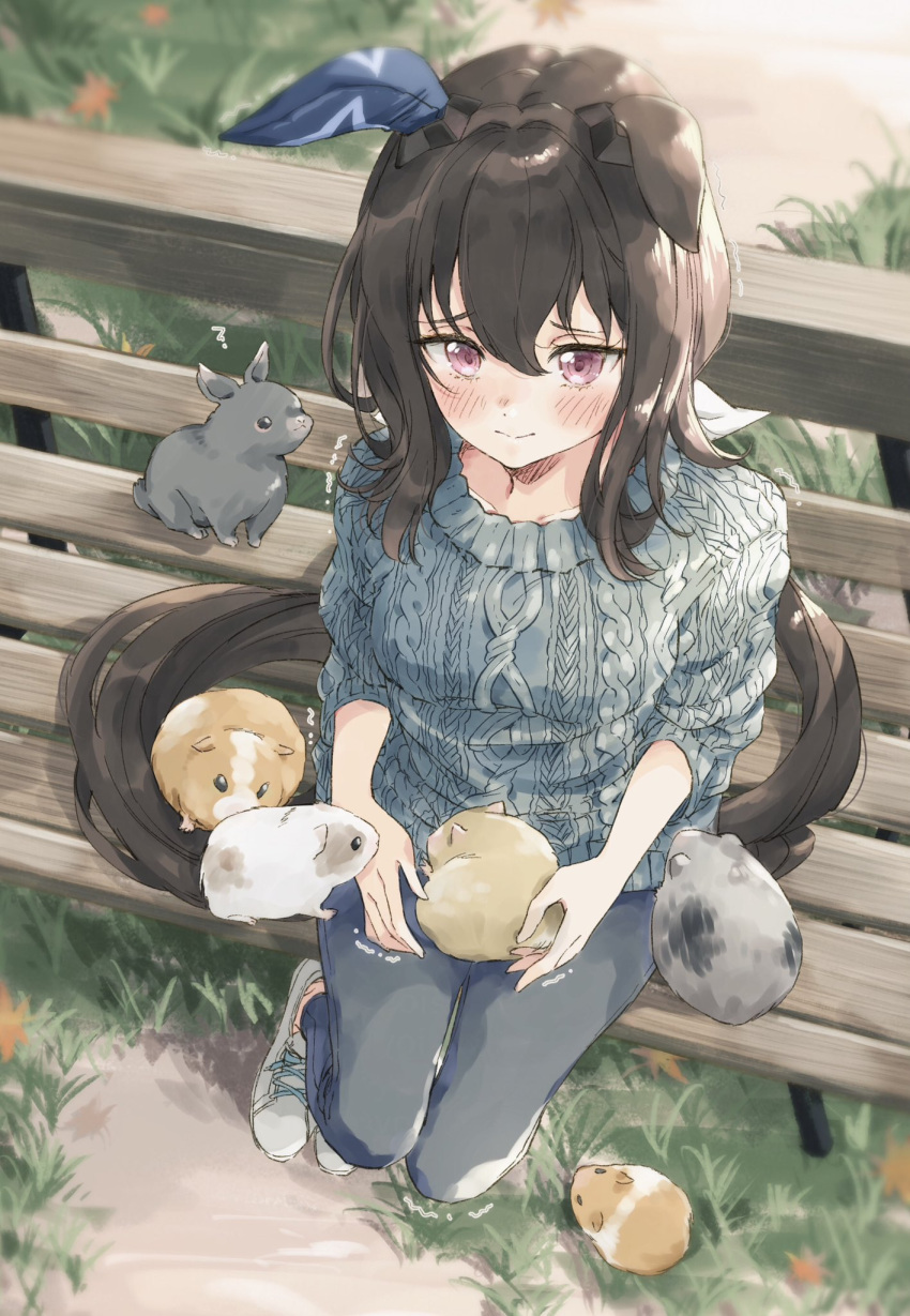 1girl, ?, admire_vega_(umamusume), animal_ears, bench, black_hair, blush, breasts