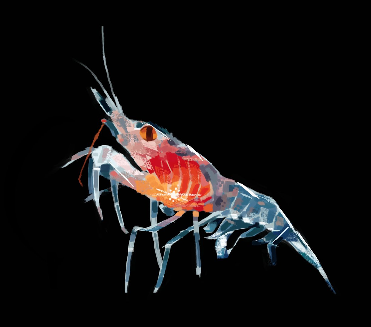 animal, animal_focus, black_background, commentary, english_commentary, fish, full_body, no_humans