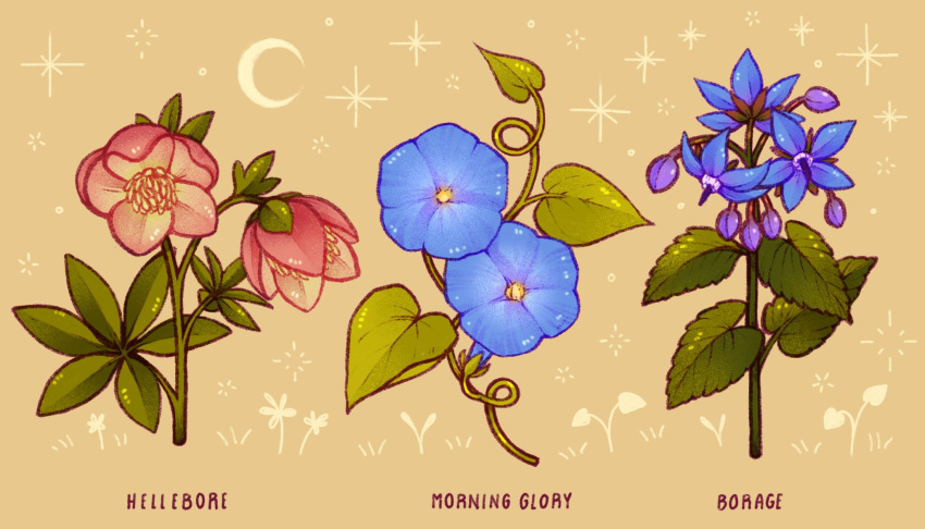 blue_flower, borage, commentary, crescent, english_commentary, english_text, flower, flower_focus, hellebore, highres, leaf, lianne_pflug, morning_glory, no_humans, object_focus, original, pink_flower, simple_background, sparkle, still_life