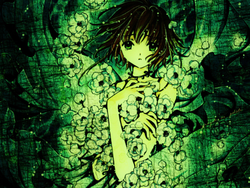 cardcaptor_sakura, clamp, highres, kinomoto_sakura, sakura, tsubasa, tsubasa_reservoir_chronicle, wallpaper