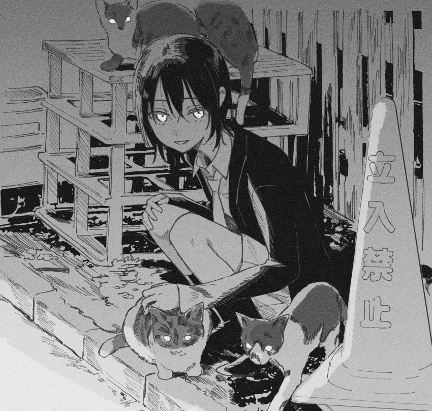 1girl, cat, crate, fence, full_body, greyscale, hand_on_own_knee, highres