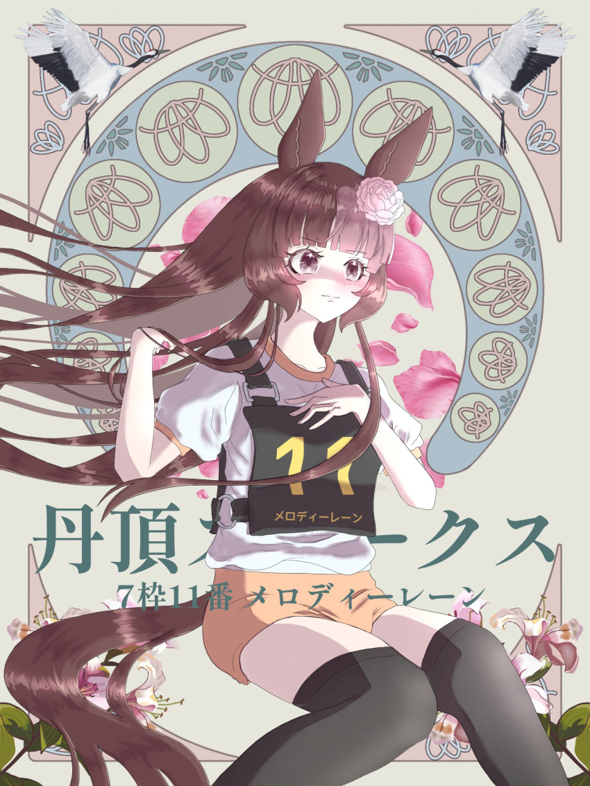 animal_ears, bird, blunt_bangs, breasts, brown_eyes, brown_hair, buruma, closed_mouth, collarbone, commentary_request, dated, flower, full_body, hair_between_eyes, hair_flower, hair_ornament, highres, horse_ears, horse_girl, long_hair, melody_lane_(racehorse), melty_melo, original, petals, small_breasts, thigh-highs, translation_request, umamusume, white_background