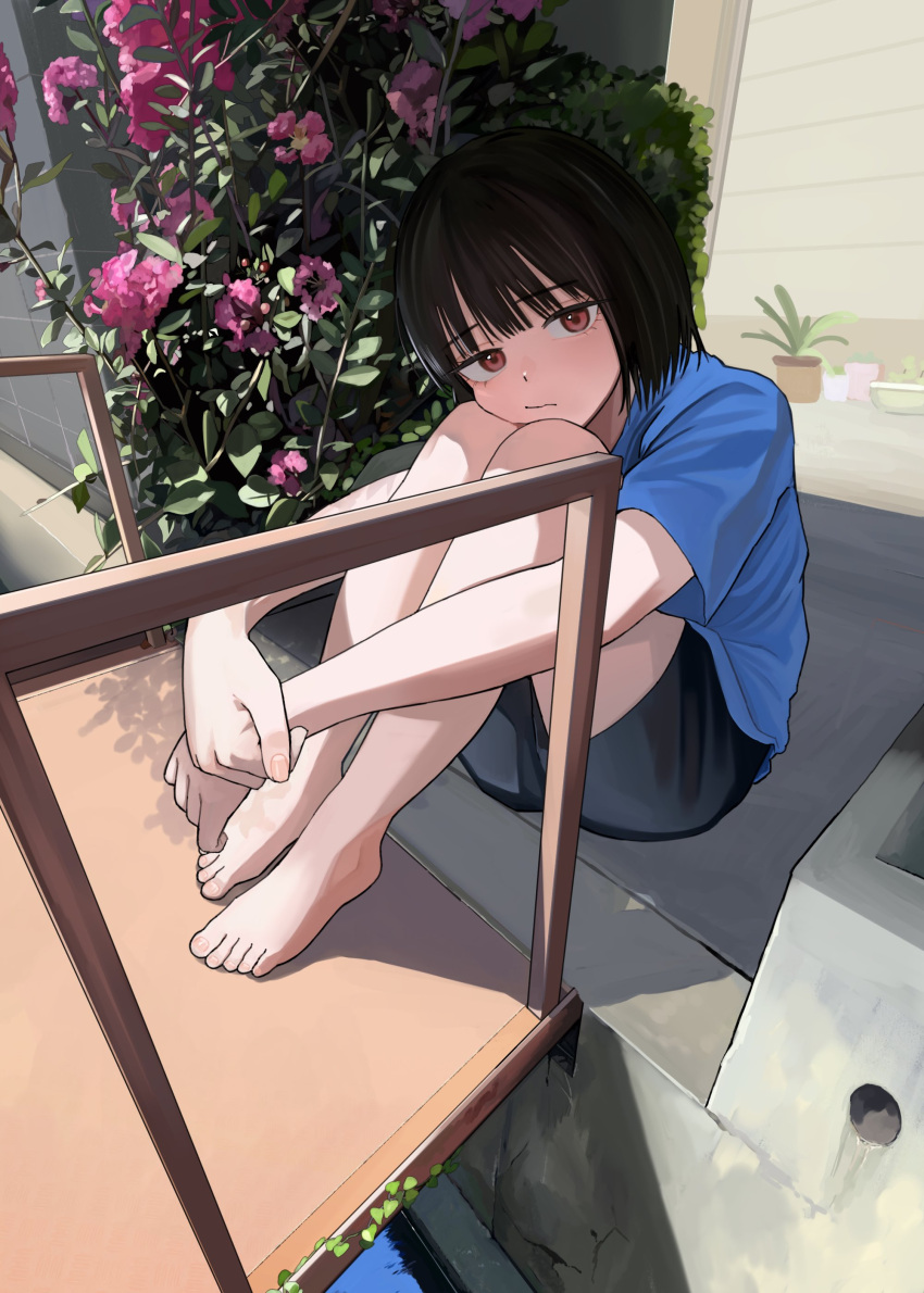 1girl, :/, absurdres, bare_arms, bare_legs, barefoot, black_hair, black_shorts, blue_shirt, blunt_bangs, bob_cut, bored, bridge, bush, closed_mouth, day, dutch_angle, expressionless, feet, flower, from_above, garage_door, highres, hugging_own_legs, looking_at_viewer, mmmo3, original, outdoors, plant, potted_plant, red_eyes, shirt, short_hair, shorts, solo, stream, sunlight, t-shirt, urban