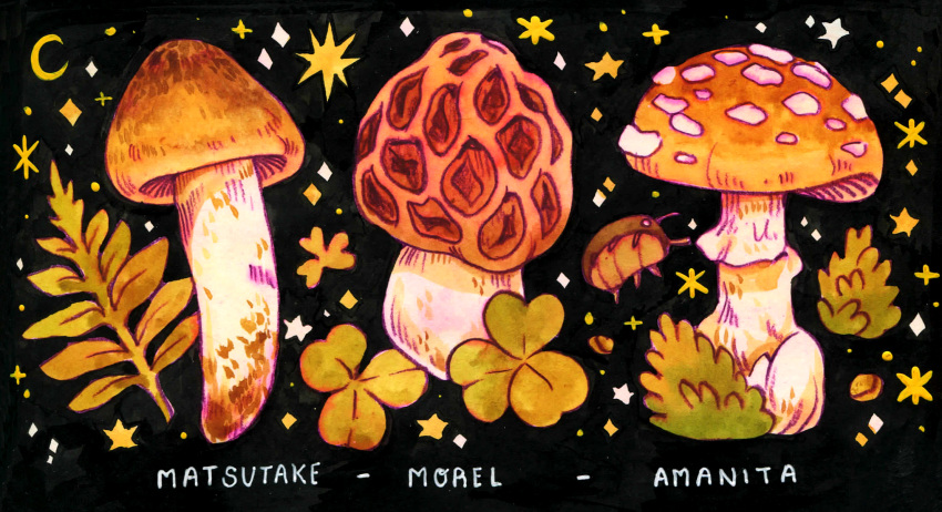 black_background, bug, clover, commentary, english_commentary, english_text, highres, leaf