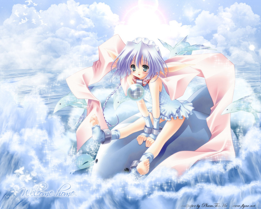 dolphin, moekibara_fumitake, moldavite, nina_floam, orbit, wallpaper