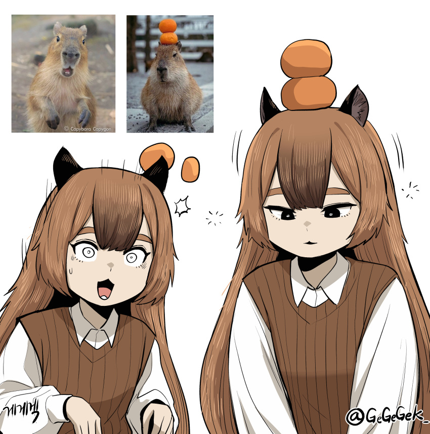 1girl, absurdres, animal_ears, black_eyes, brown_vest, capybara, capybara_girl, food