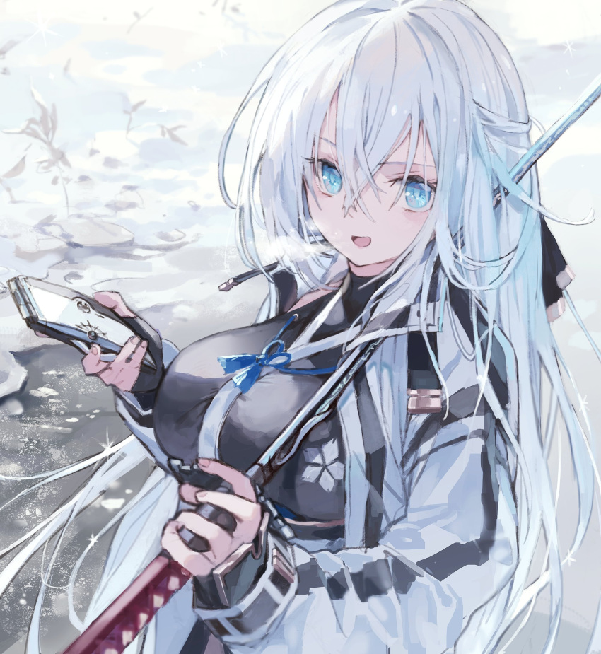 1girl, blue_eyes, breasts, coat, double-parted_bangs, eiyuu_densetsu, hair_between_eyes, half_updo