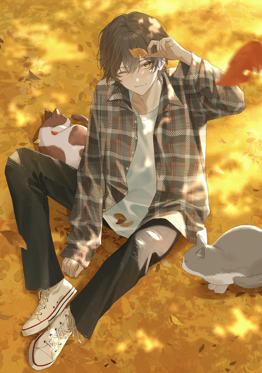 1boy, absurdres, autumn, autumn_leaves, blush, brown_eyes, brown_hair, cat, closed_mouth, denim, falling_leaves, full_body, hair_between_eyes, hama_m, highres, holding, holding_leaf, jeans, knees_apart_feet_together, leaf, long_sleeves, looking_at_viewer, male_focus, multiple_cats, one_eye_closed, open_clothes, open_shirt, original, outdoors, pants, plaid_clothes, plaid_shirt, shirt, shoes, short_hair, sitting, smile, sneakers, solo, torn_clothes, torn_jeans, torn_pants, yellow_theme