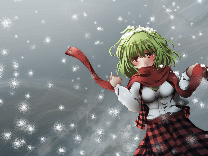 ascot, blush, breasts, bun_wage, bunchin_(siso_junzy), green_hair, highres, kazami_yuuka