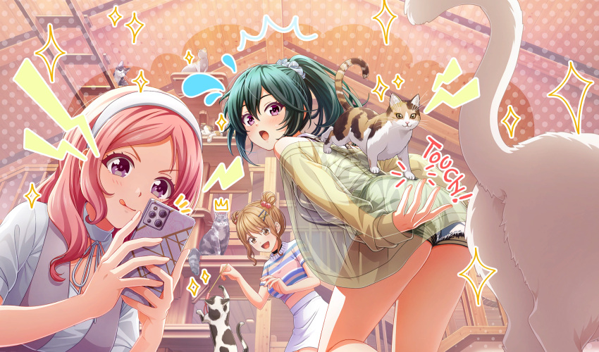 3girls, :d, ;q, ^^^, brown_eyes, brown_hair, calico, cat