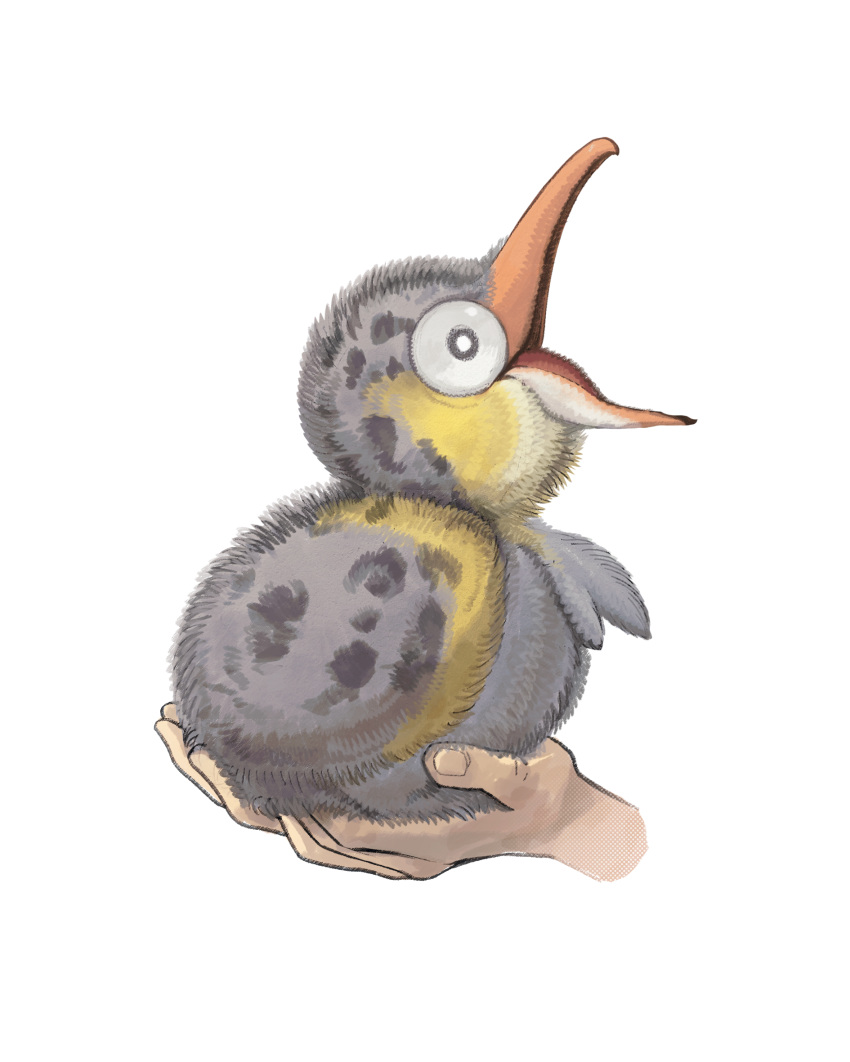 animal, animal_focus, bird, black_eyes, bright_pupils, chick, commentary_request, disembodied_hand, fluffy, from_side, full_body, highres, holding, holding_animal, holding_bird, kappafarm, no_humans, open_mouth, pokemon, pokemon_(creature), realified, seagull, simple_background, solo_focus, spots, tern, wattrel, white_background, white_pupils
