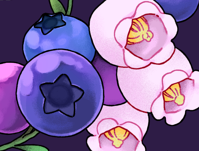 berry, blueberry, bud, close-up, commentary, cropped, dark_background, flower