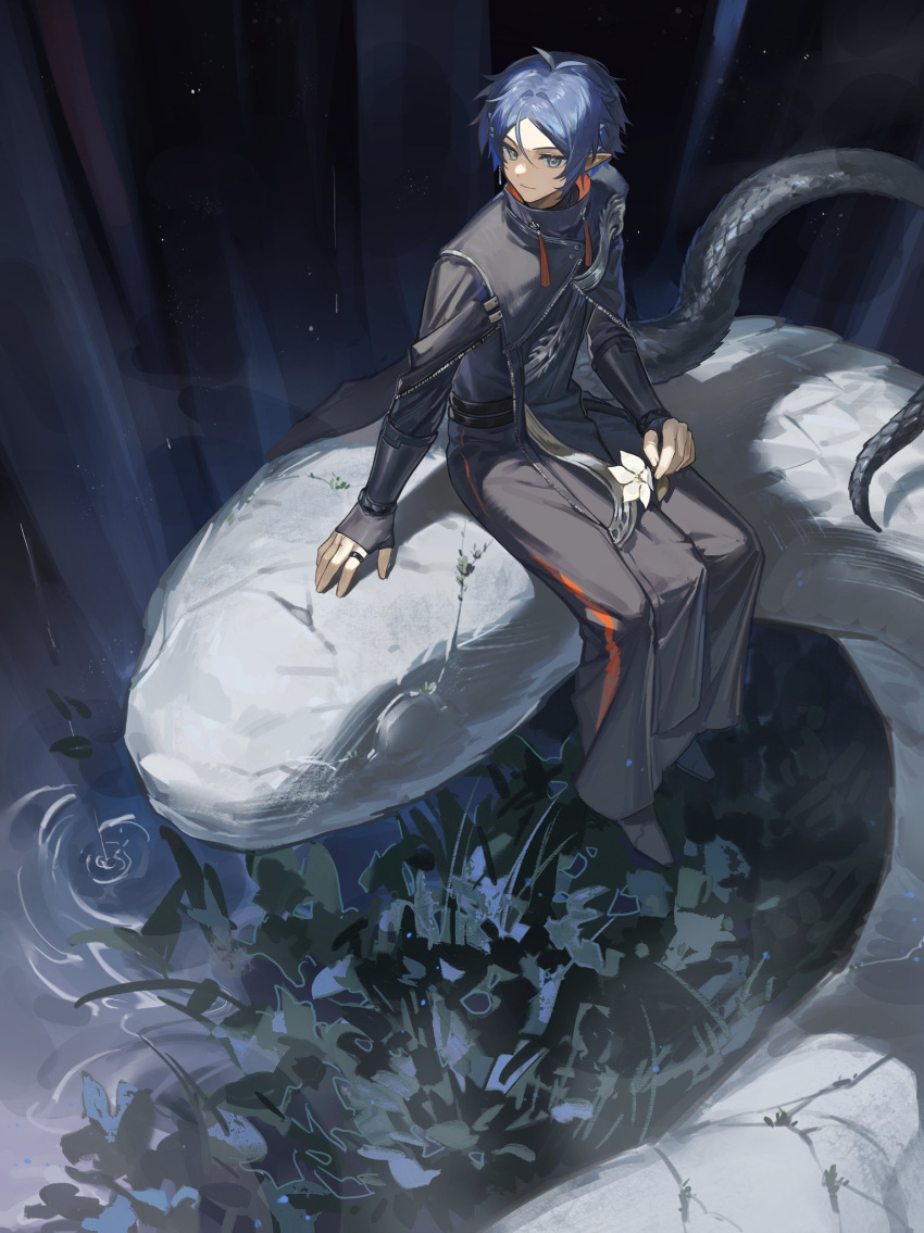 1boy, animal, arknights, black_jacket, black_pants, blue_background, blue_eyes, blue_hair, commentary, full_body, gauntlets, giant_snake, high_collar, highres, jacket, long_sleeves, looking_at_viewer, male_focus, oversized_animal, pants, parted_bangs, pointy_ears, rain, reflection, ripples, short_hair, sitting_on_animal, slit_pupils, smile, snake, snake_tail, solo, tail, tree, youling_niao_(siye_233), zuo_le_(arknights)