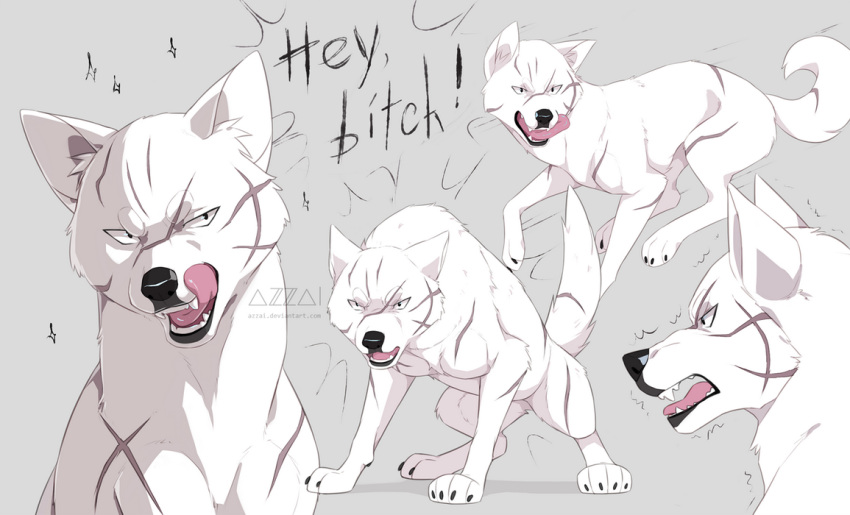 animal, animal_focus, azzai, dog, english_text, ginga_(franchise), ginga_densetsu_weed, grey_background, jitome, kishu_ken, kyoushirou_(ginga_densetsu_weed), licking_lips, looking_at_viewer, multiple_views, no_humans, profanity, scar, sharp_teeth, simple_background, teeth, tongue, tongue_out, watermark, white_dog