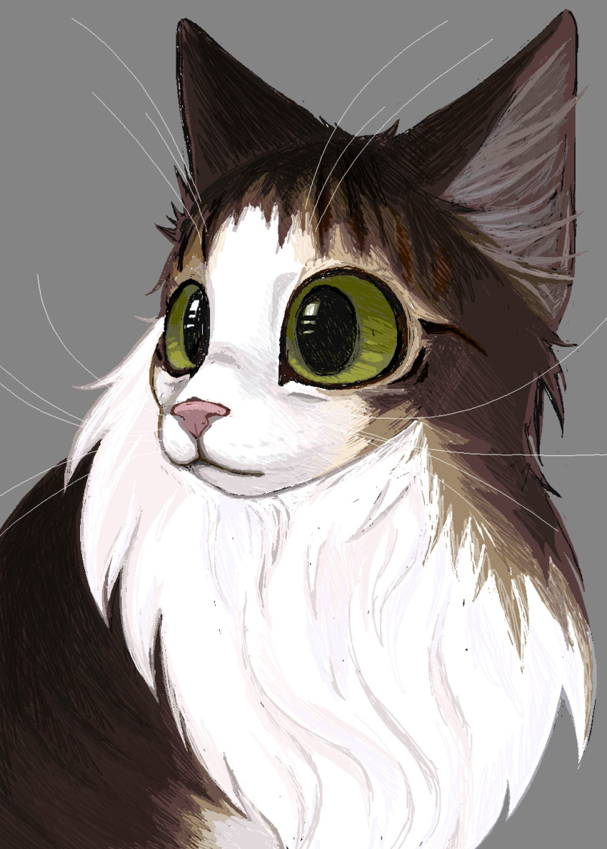 animal, animal_ear_fluff, bloopy, cat, english_commentary, green_eyes, grey_background, highres