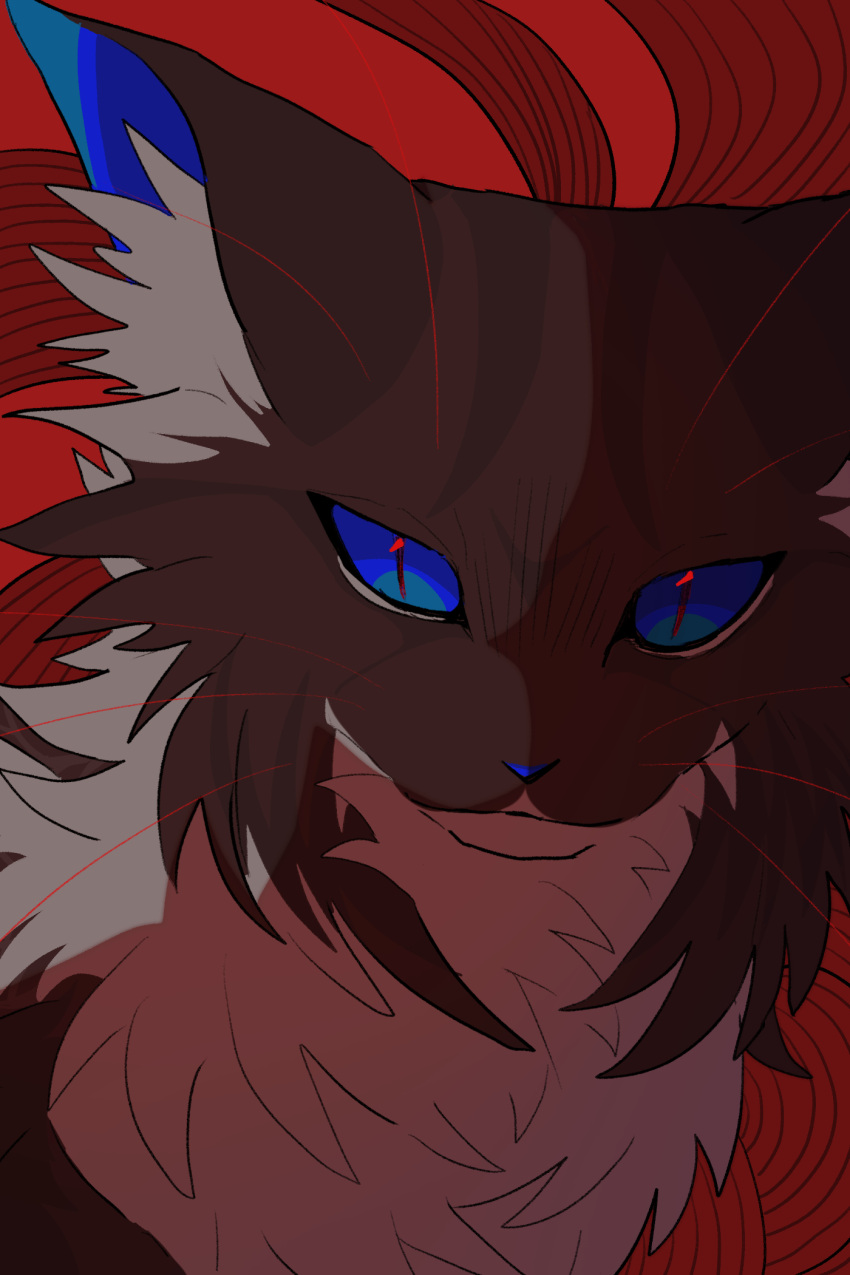 animal, animal_focus, blue_eyes, brown_cat, cat, close-up, commentary, hawkfrost, highres, looking_at_viewer, minamia23, no_humans, portrait, red_pupils, slit_pupils, the_new_prophecy, warrior_cats, whiskers