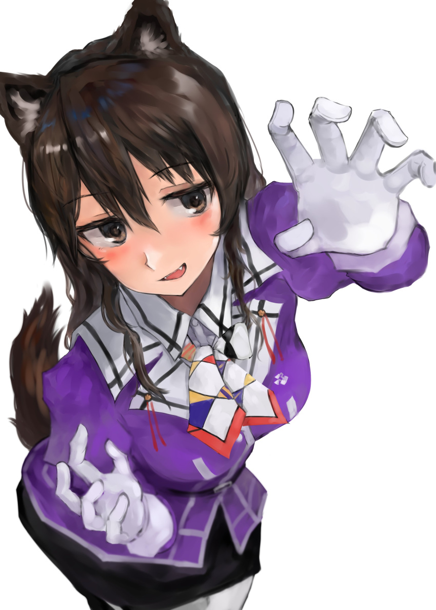 1girl, 73suke, absurdres, animal_ears, ashigara_(kancolle), ashigara_kai_ni_(kancolle), black_pantyhose, brown_eyes