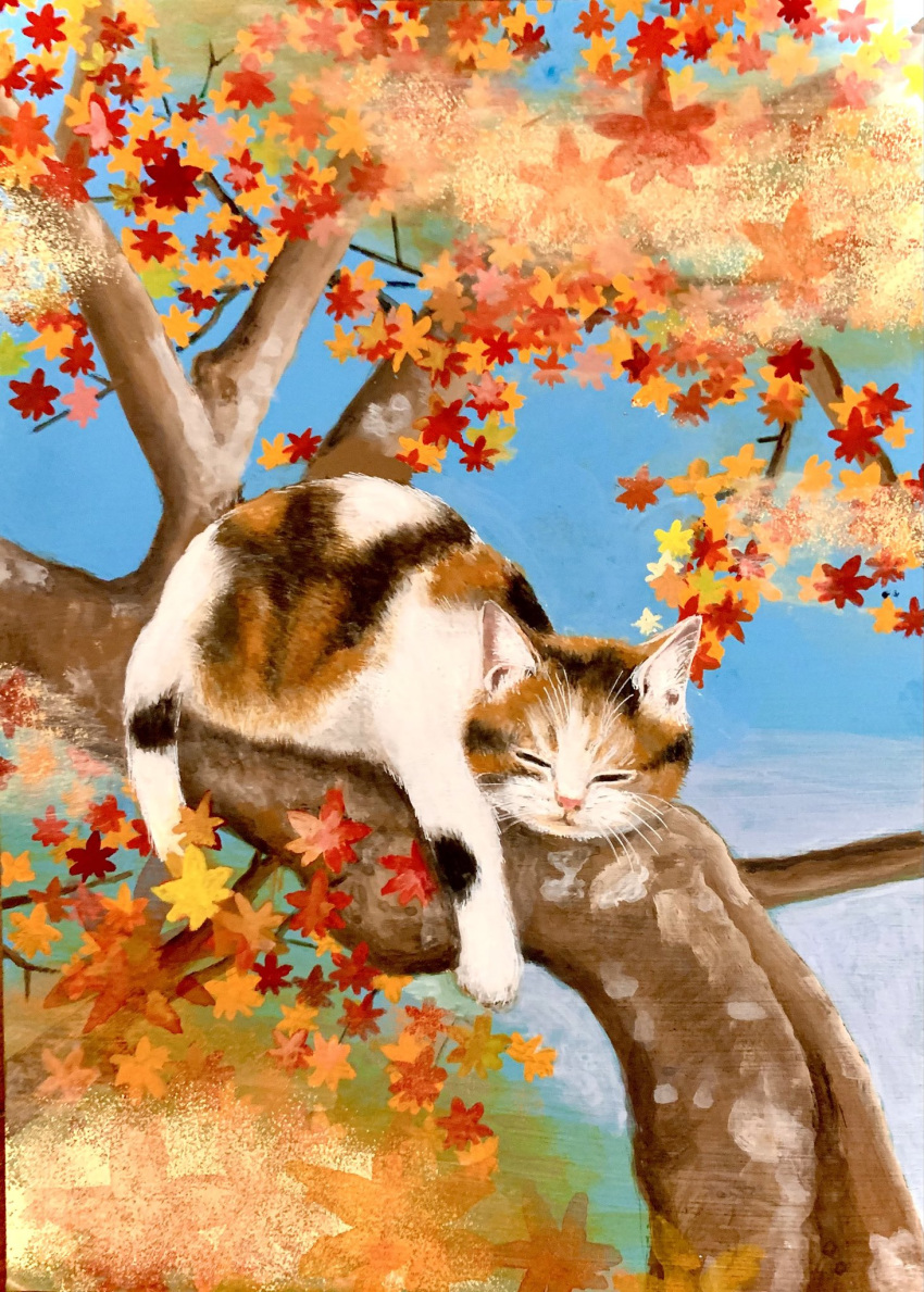 8wh6tfac31rka8d, animal, animal_focus, autumn_leaves, blue_sky, branch, cat, closed_eyes