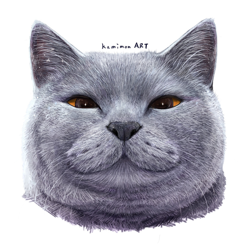animal, animal_ears, animal_focus, artist_name, british_shorthair, cat, cat_ears, closed_mouth