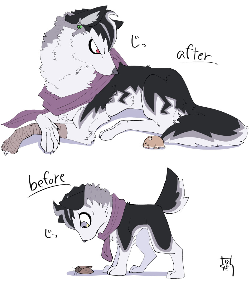 animal, animal_focus, bandaged_paw, bug, cockroach, danganronpa_(series), danganronpa_2:_goodbye_despair, dog