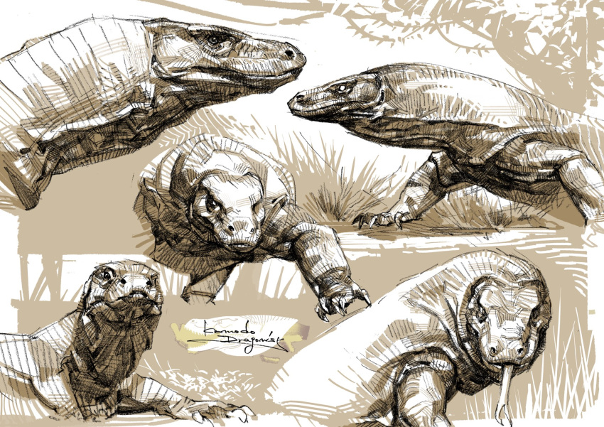 animal, animal_focus, dragonizm, highres, komodo_dragon, long_tongue, looking_at_viewer, multiple_views