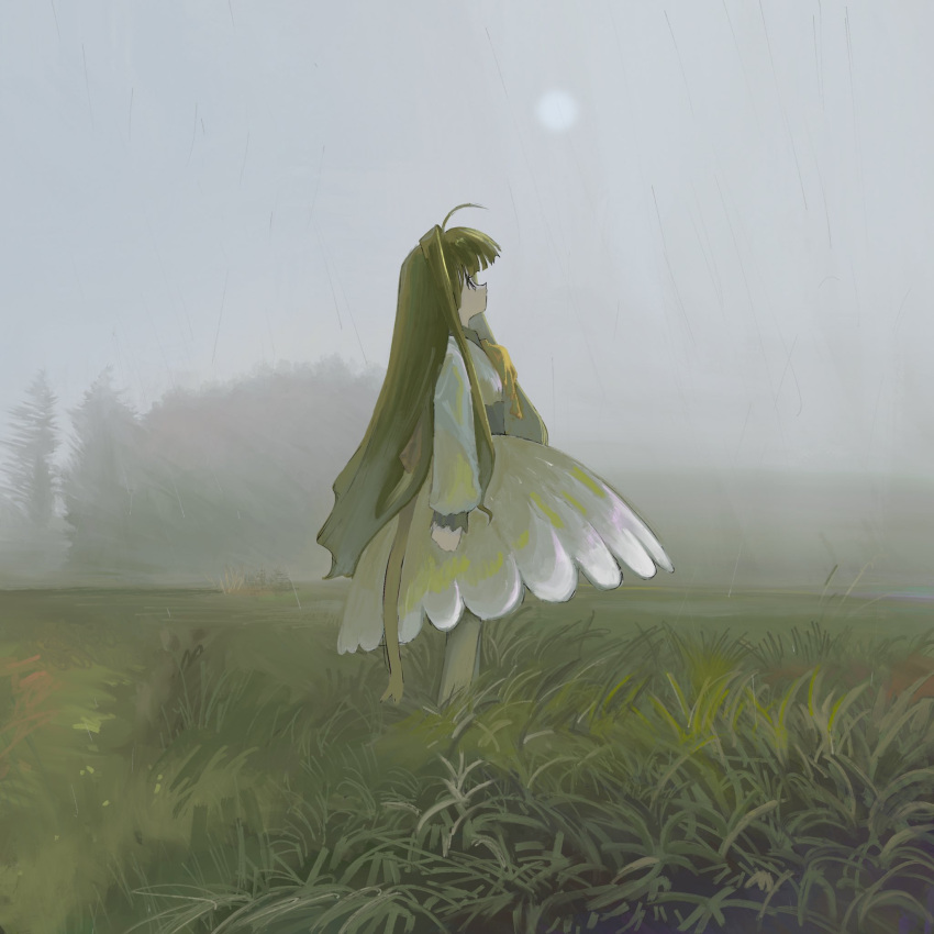 1girl, ahoge, copyright_request, dress, fog, from_side, grass, green_hair
