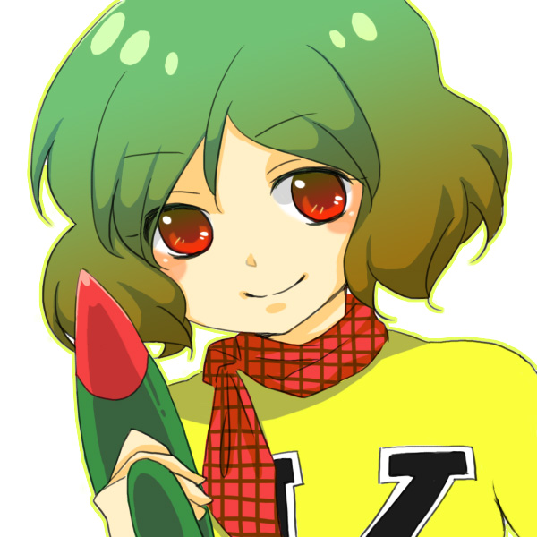 chargeman_ken!, cosplay, green_hair, izumi_ken, kazami_yuuka, parody, plaid, portrait