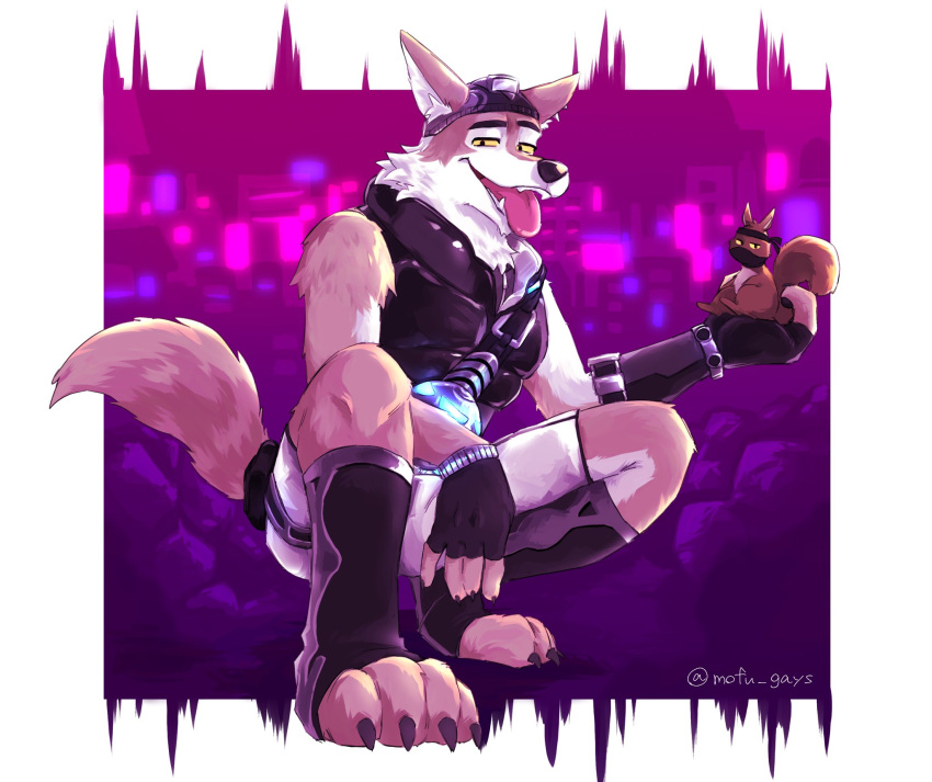 1boy, animal_ears, black_gloves, black_hat, black_headband, black_jacket, black_mask, character_request, claws, colored_sclera, english_commentary, fangs, fingerless_gloves, fortnite, furry, furry_male, gloves, grey_shorts, hat, headband, highres, jacket, looking_at_viewer, male_focus, mofu_gays, open_mouth, shorts, sleeveless, sleeveless_jacket, smile, squatting, tail, toeless_footwear, tongue, tongue_out, twitter_username, wendell_(fortnite), wolf_boy, wolf_ears, wolf_tail, yellow_sclera