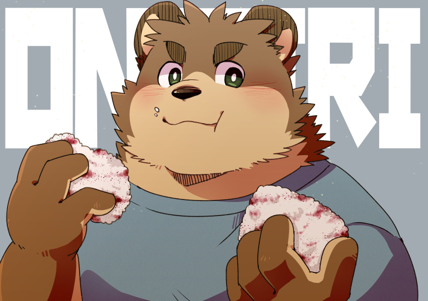 1boy, absurdres, animal_ears, bear_boy, bear_ears, blue_shirt, blush, brown_fur