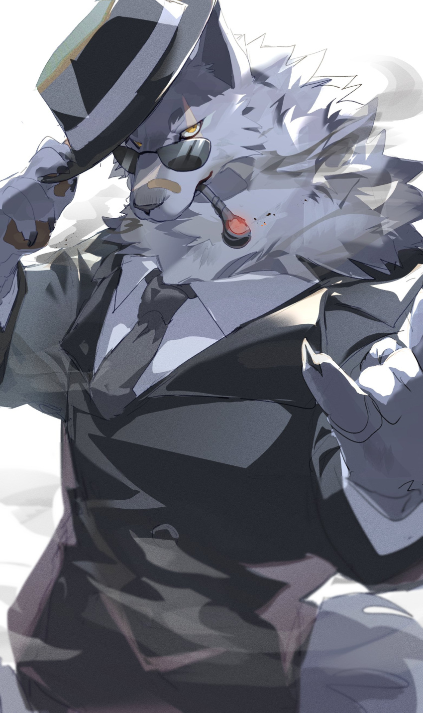 1boy, \n/, absurdres, amber_eyes, animal_ears, bandaid, bandaid_on_face, bandaid_on_nose