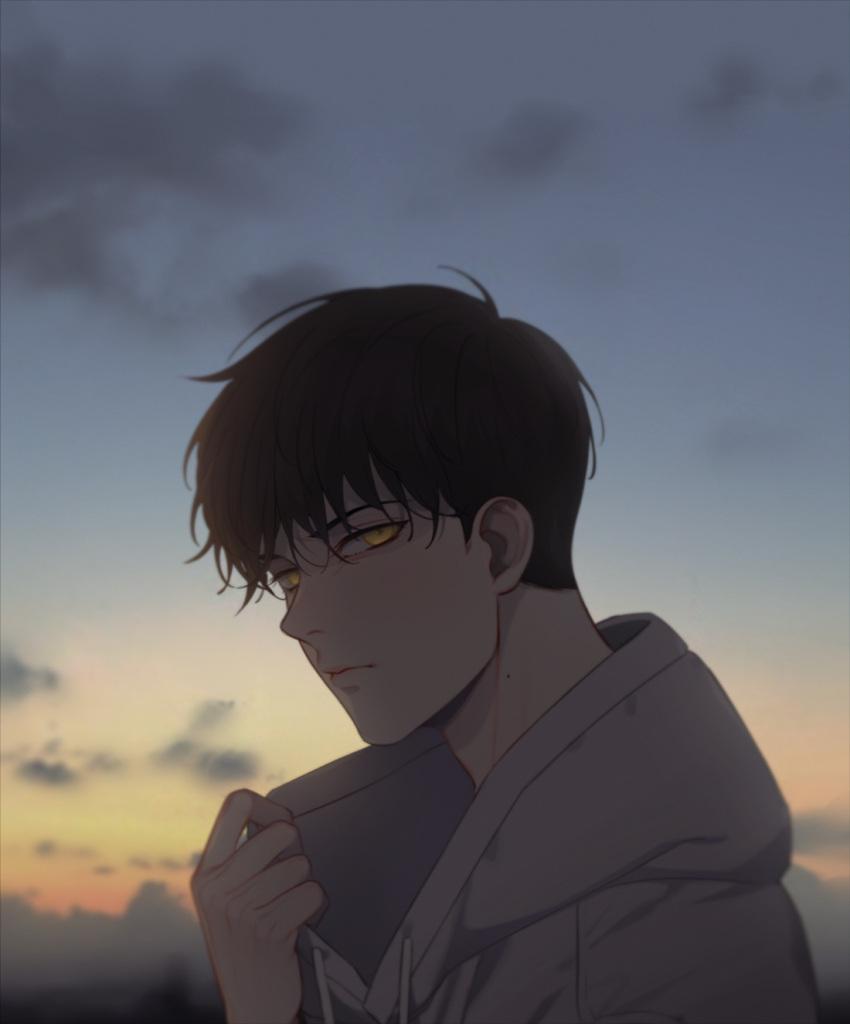 1boy, ahn_jiwon, bj_alex, brown_hair, closed_mouth, clouds, cloudy_sky, commentary_request