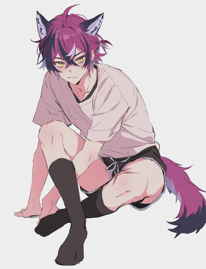 1boy, absurdres, animal_ear_fluff, animal_ears, arm_support, black_shorts, black_thighhighs, blush