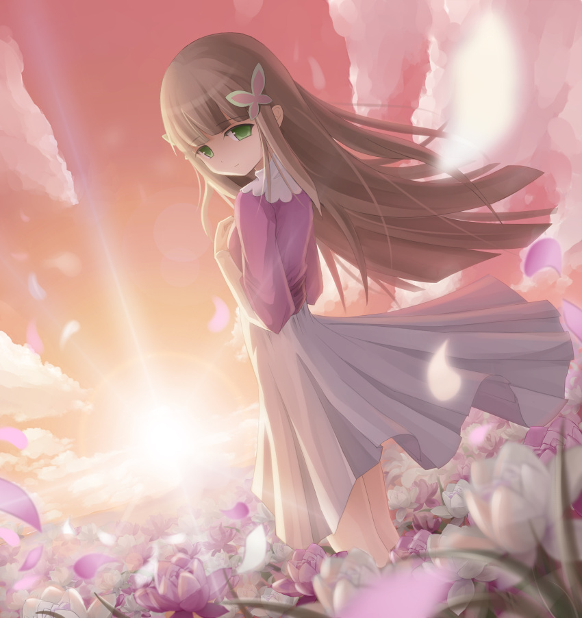 bangs, blunt_bangs, brown_hair, butterfly_hair_ornament, character_request, cloud, clouds, dress