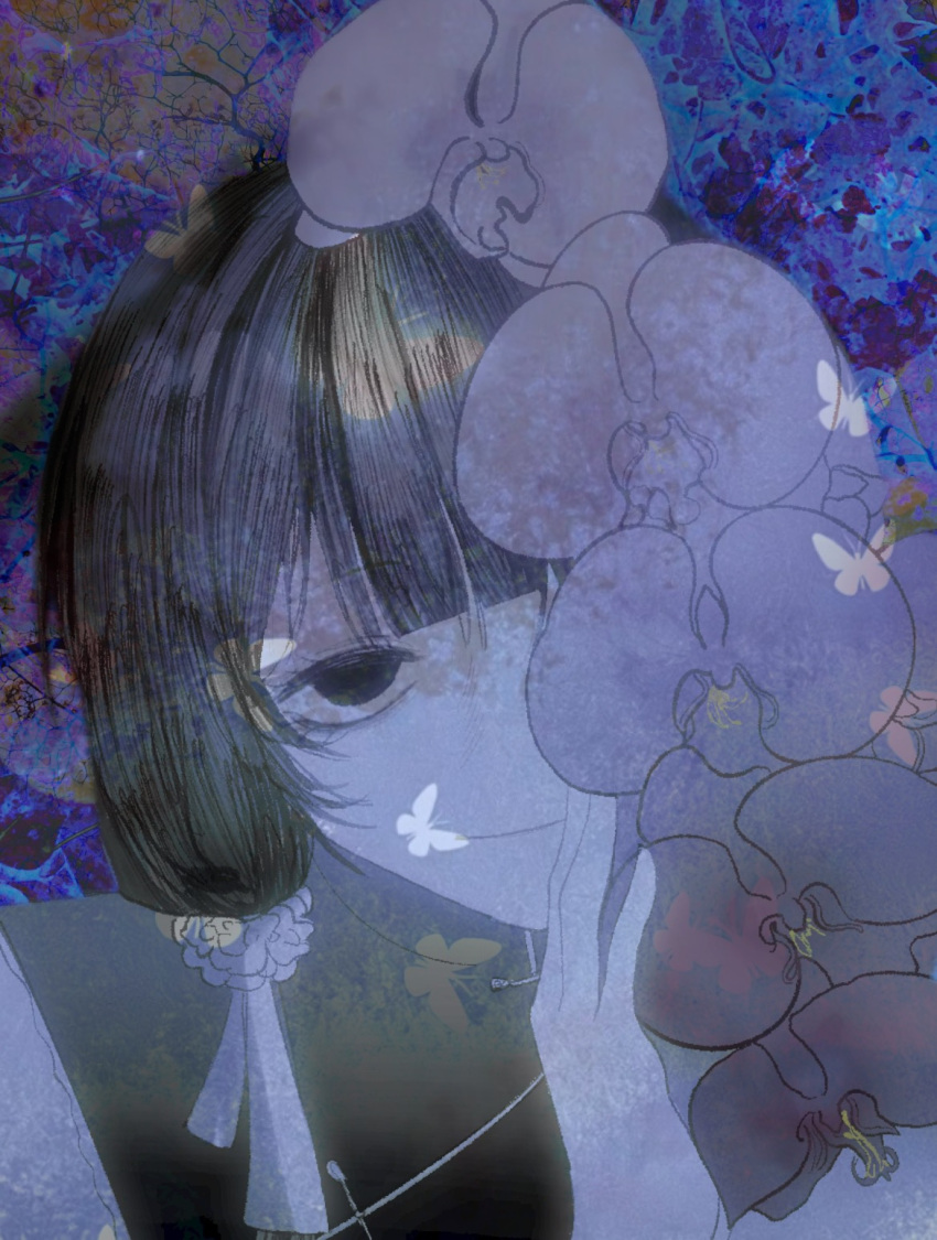 1girl, 87k2cs, black_eyes, black_hair, black_vest, bug, butterfly, center-flap_bangs