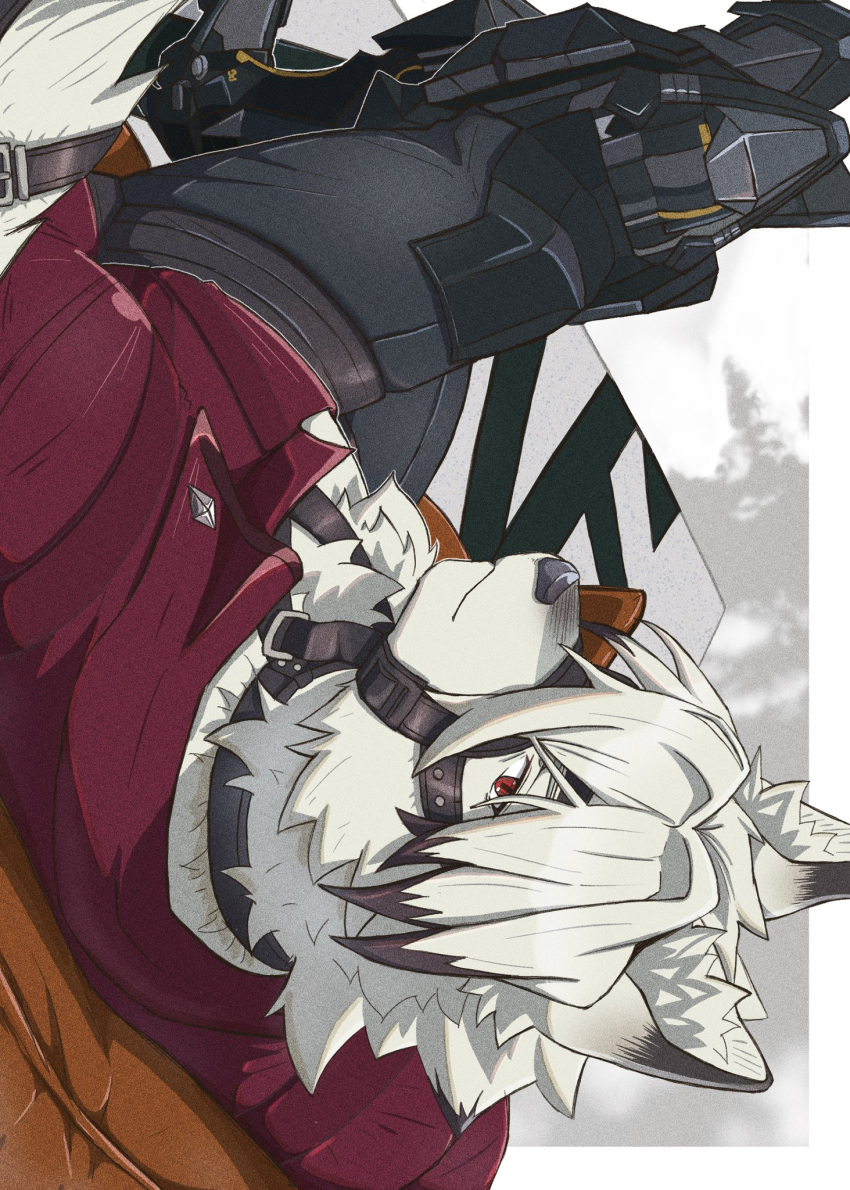 1boy, animal_ears, colored_tips, eichi_doraking, english_commentary, eyepatch, furry, furry_male