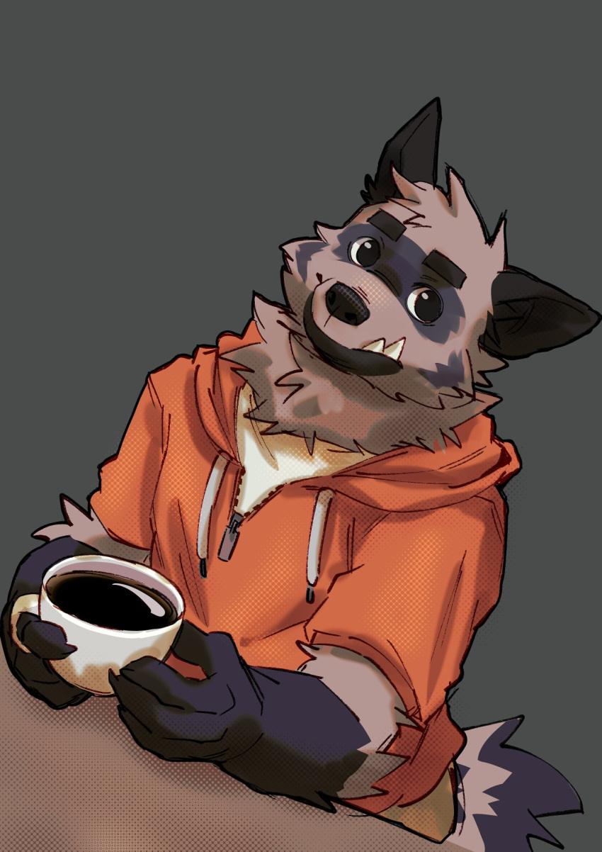 1boy, brown_pants, claws, closed_mouth, coffee, coffee_mug, crimsonrabbit_(crimsonann), cup, dave_(password), drink, english_commentary, fangs, fangs_out, furry, furry_male, grey_background, highres, holding, holding_cup, holding_drink, hood, hooded_jacket, hyena_boy, hyena_ears, hyena_tail, jacket, male_focus, mug, orange_jacket, pants, password_(visual_novel), shirt, white_shirt