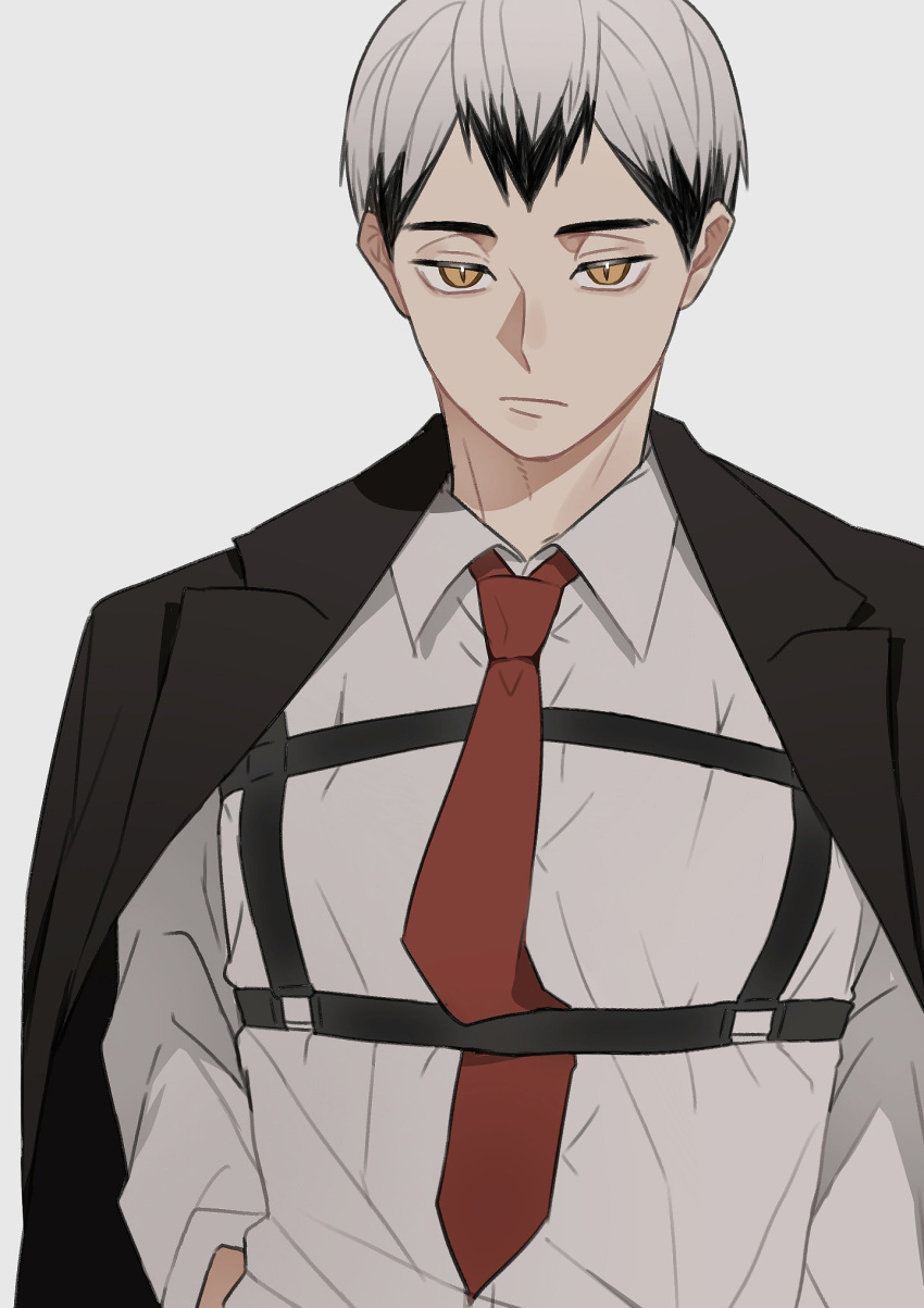 1boy, :|, black_hair, black_jacket, chest_harness, closed_mouth, collared_shirt, commentary_request, eringi895, haikyuu!!, hair_between_eyes, harness, highres, jacket, jitome, kita_shinsuke, lapels, looking_at_viewer, male_focus, multicolored_hair, necktie, open_clothes, open_jacket, red_necktie, shirt, short_hair, simple_background, solo, suit_jacket, two-tone_hair, upper_body, white_background, white_hair, white_shirt, wing_collar, yellow_eyes