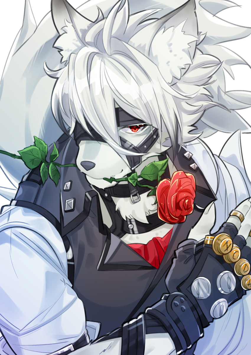 1boy, absurdres, animal_ears, black_gloves, body_fur, collared_vest, fingerless_gloves, flower, furry, furry_male, gloves, hair_between_eyes, highres, looking_at_viewer, male_focus, multicolored_hair, muzzle_(mask), noxxia39, red_eyes, red_flower, red_rose, rose, shirt, short_hair, vest, von_lycaon, white_fur, white_hair, wolf_boy, wolf_ears, zenless_zone_zero