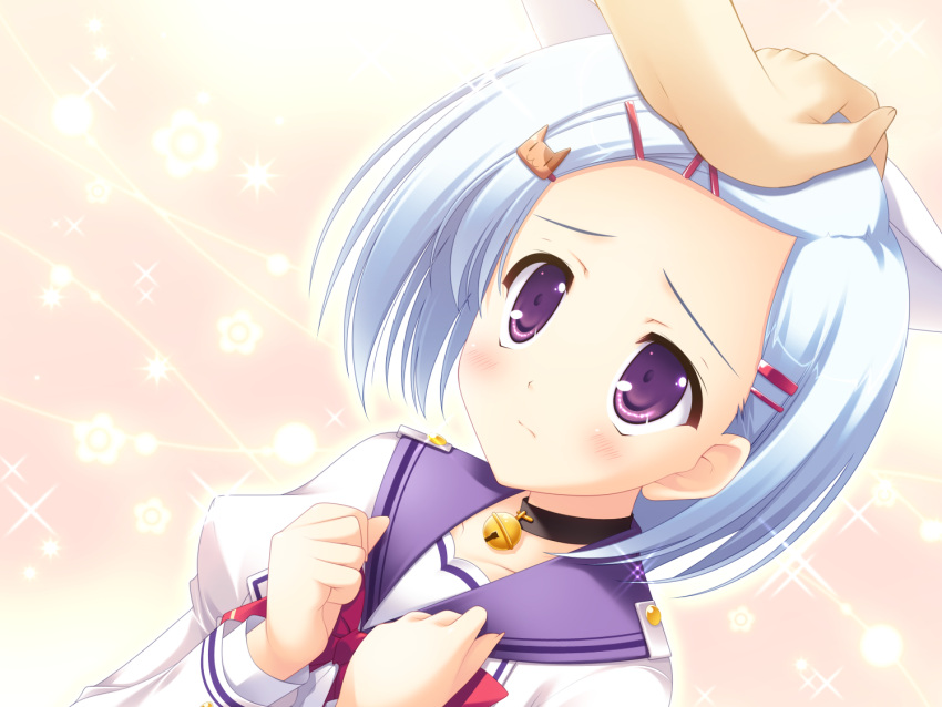 blue_hair, blush, charlotte_vaasa, game_cg, nanairo_kouro, naruse_mamoru, purple_eyes, short_hair