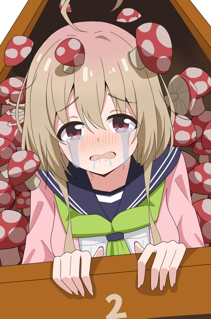 1girl, absurdres, ahoge, blush, box, brown_eyes, brown_hair, cardigan