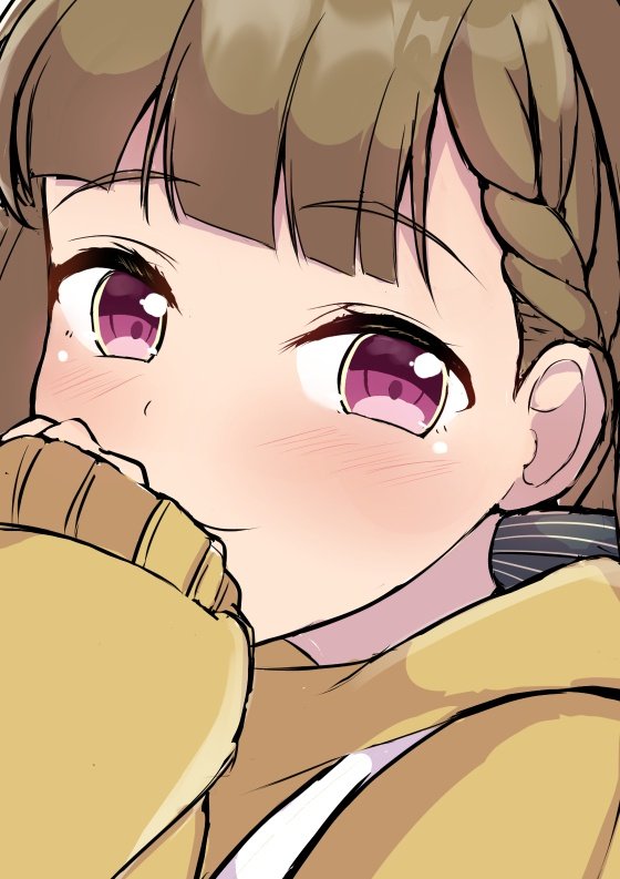 1girl, black_bow, blush, bow, braid, brown_hair, center-flap_bangs, closed_mouth