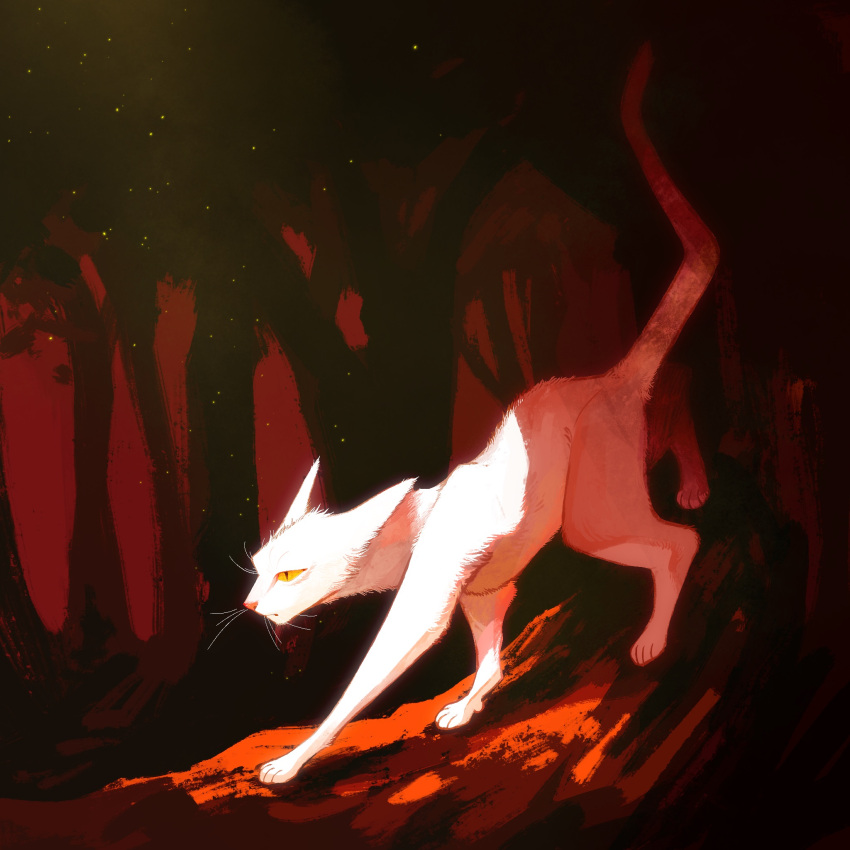 animal, animal_focus, cat, commentary_request, forest, full_body, highres, log