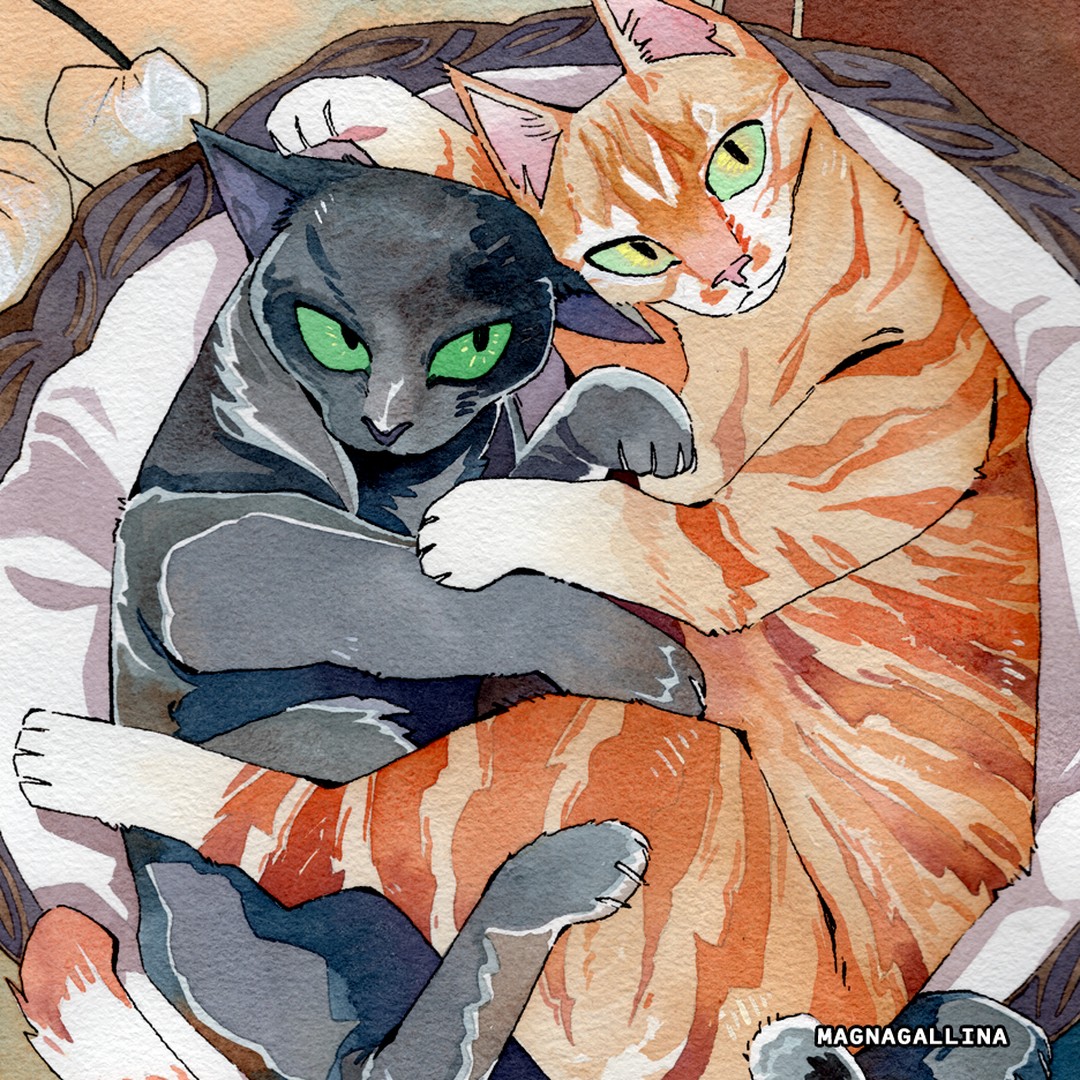 artist_name, basket, black_cat, cat, colored_sclera, commentary, commission, english_commentary