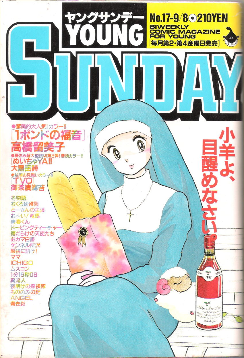 1_pound_no_fukuin, 1girl, aqua_robe, aqua_sleeves, aqua_veil, bag, baguette, bench