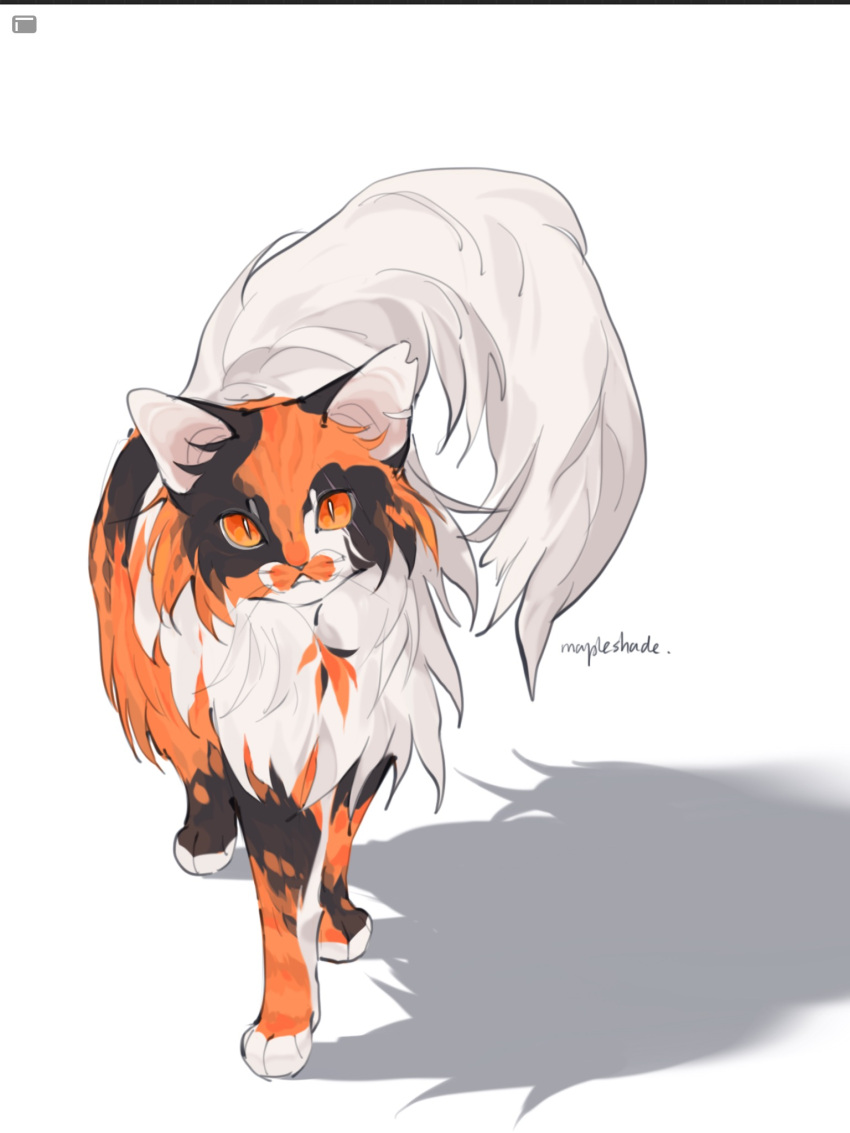 animal, animal_focus, calico, cat, character_name, chinese_commentary, commentary_request, fluffy, full_body, gugugugu48918, highres, looking_at_viewer, mapleshade, no_humans, orange_eyes, shadow, simple_background, solo, standing, tail, warrior_cats, white_background