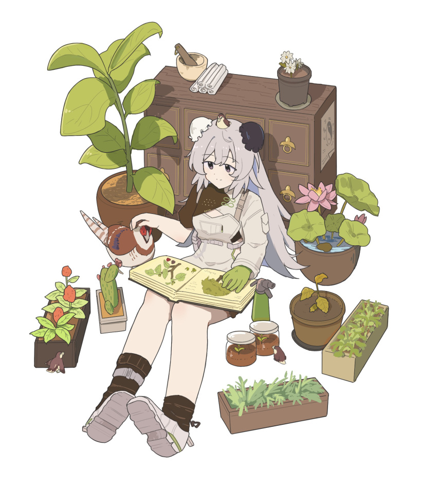 1girl, animal, animal_on_head, arknights, asymmetrical_legwear, asymmetrical_sleeves, bird, bird_on_head